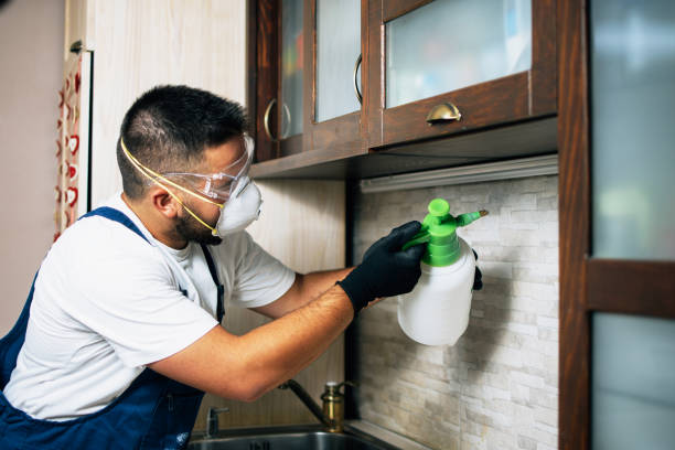 Pest Control Cost in Moses Lake North, WA