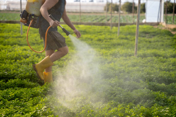 Best Ant Control Services  in Moses Lake North, WA