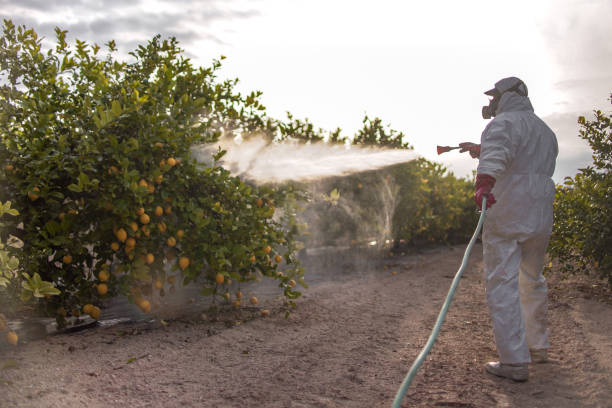 Best Pest Control Near Me in Moses Lake North, WA