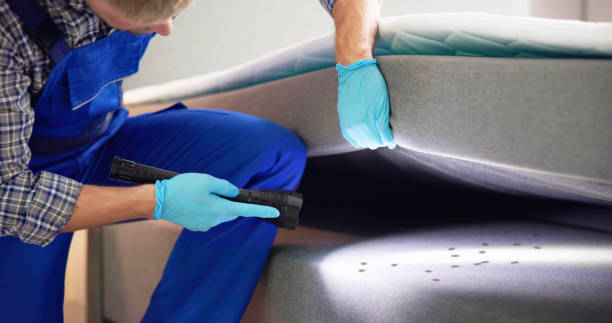 Best Rat Extermination Near Me  in Moses Lake North, WA