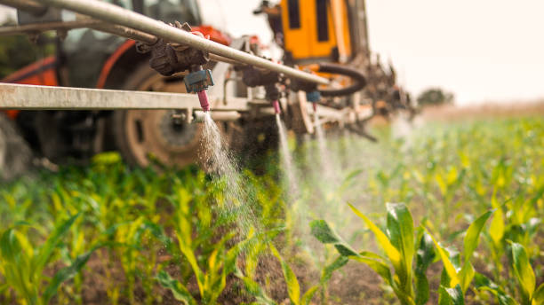 Best Local Pest Control Services  in Moses Lake North, WA